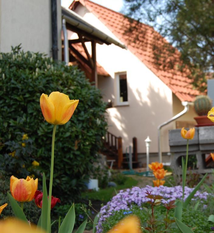 Maya Guesthouse Эгер Экстерьер фото